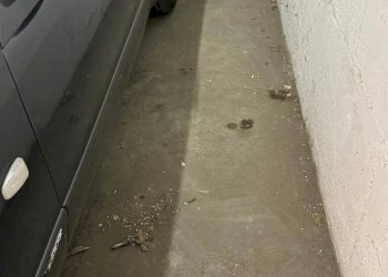 Foto 23 - Box Via Onorato Vigliani
 
29, Torino - photo 23