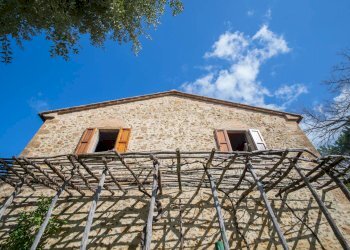 Foto 4 - Rustico Volterra - foto 4