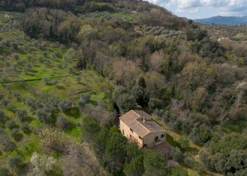 Foto 5 - Rustico Volterra - foto 5