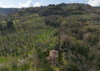 Foto 9 - Rustico Volterra - foto 9