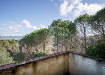 Foto 19 - Rustico Volterra - foto 19