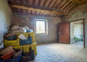 Foto 21 - Rustico Volterra - foto 21