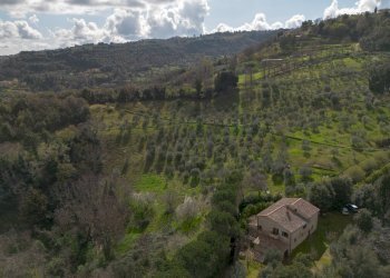 Foto 33 - Rustico Volterra - foto 33