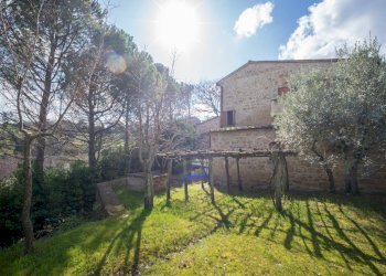 Foto 36 - Rustico Volterra - foto 36