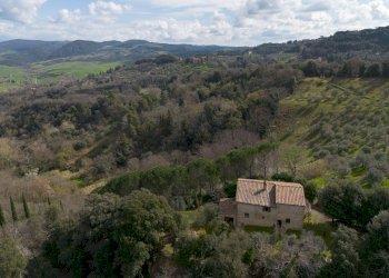 Foto 39 - Rustico Volterra - foto 39