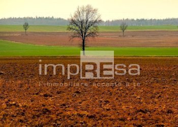 Foto 10 - Trilocale Castelcucco - foto 10