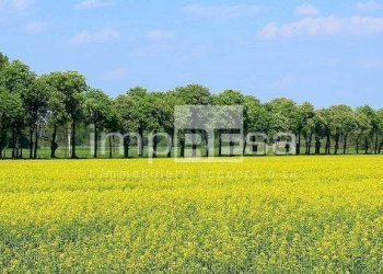 Foto 11 - Trilocale Castelcucco - foto 11