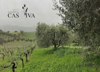 Foto 18 - Casa semi indipendente Contrada Abbadetta
 
72, Acquaviva Picena - foto 18