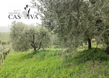 Foto 19 - Casa semi indipendente Contrada Abbadetta
 
72, Acquaviva Picena - foto 19