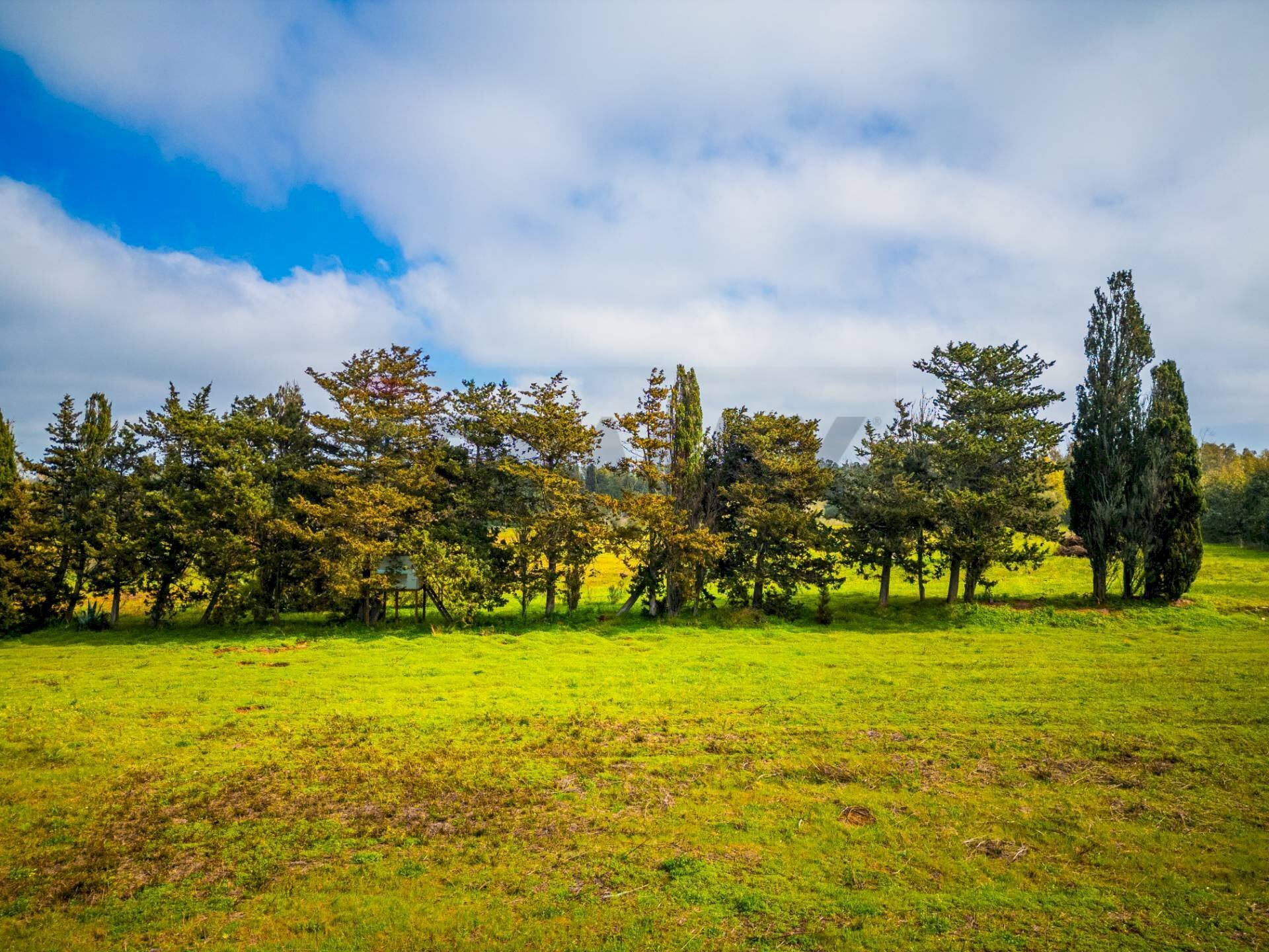 Giardino - Building land SS 291 della Nurra
 
snc, Sassari - photo 2