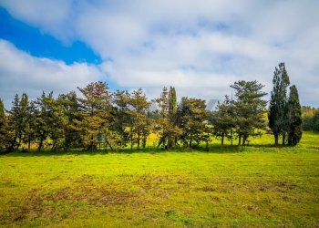 Giardino - Building land SS 291 della Nurra
snc, Sassari - photo 2