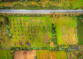 Giardino - Building land SS 291 della Nurra
snc, Sassari - photo 3