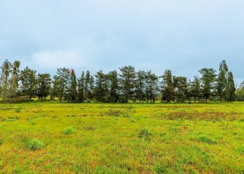 Giardino - Building land SS 291 della Nurra
snc, Sassari - photo 5