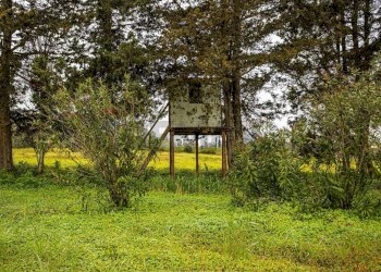 Giardino - Building land SS 291 della Nurra
snc, Sassari - photo 7