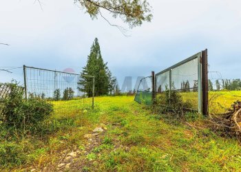 Giardino - Building land SS 291 della Nurra
snc, Sassari - photo 10