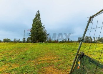 Giardino - Building land SS 291 della Nurra
snc, Sassari - photo 11