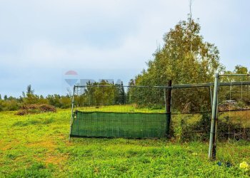Giardino - Building land SS 291 della Nurra
snc, Sassari - photo 12