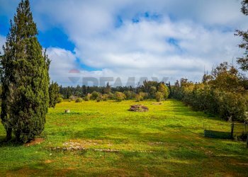 Giardino - Building land SS 291 della Nurra
snc, Sassari - photo 13