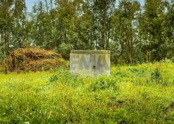 Giardino - Building land SS 291 della Nurra
snc, Sassari - photo 14