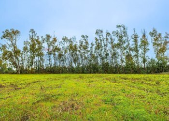 Giardino - Building land SS 291 della Nurra
snc, Sassari - photo 17