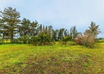 Giardino - Building land SS 291 della Nurra
snc, Sassari - photo 19