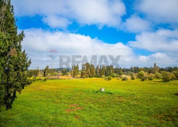 Giardino - Building land SS 291 della Nurra
snc, Sassari - photo 21