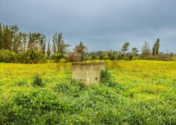 Giardino - Building land SS 291 della Nurra
snc, Sassari - photo 22
