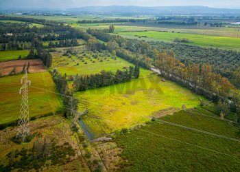Vista delle montagne - Building land SS 291 della Nurra
snc, Sassari - photo 24