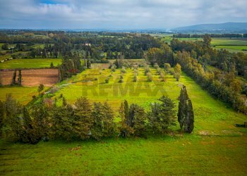 Vista delle montagne - Building land SS 291 della Nurra
snc, Sassari - photo 26