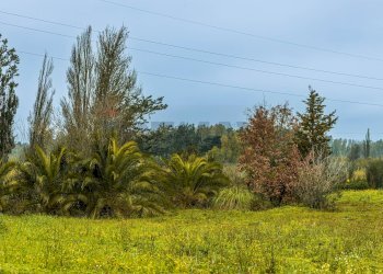 Giardino - Building land SS 291 della Nurra
snc, Sassari - photo 27
