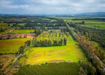 Vista delle montagne - Building land SS 291 della Nurra
snc, Sassari - photo 28