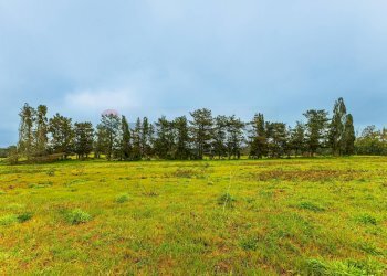 Giardino - Building land SS 291 della Nurra
snc, Sassari - photo 33