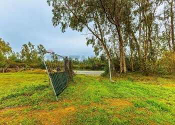 Giardino - Building land SS 291 della Nurra
snc, Sassari - photo 35