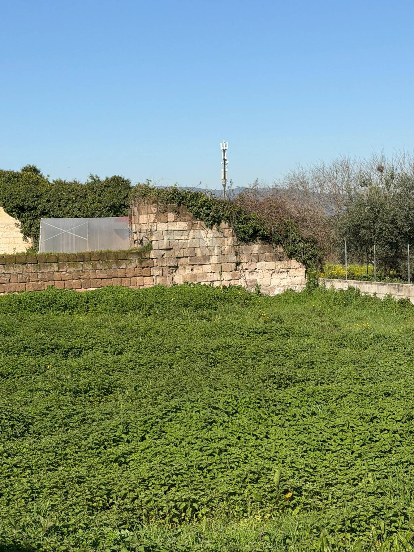 Giardino - Terreno agricolo Vicolo Girone
 
5, Francolise - foto 1
