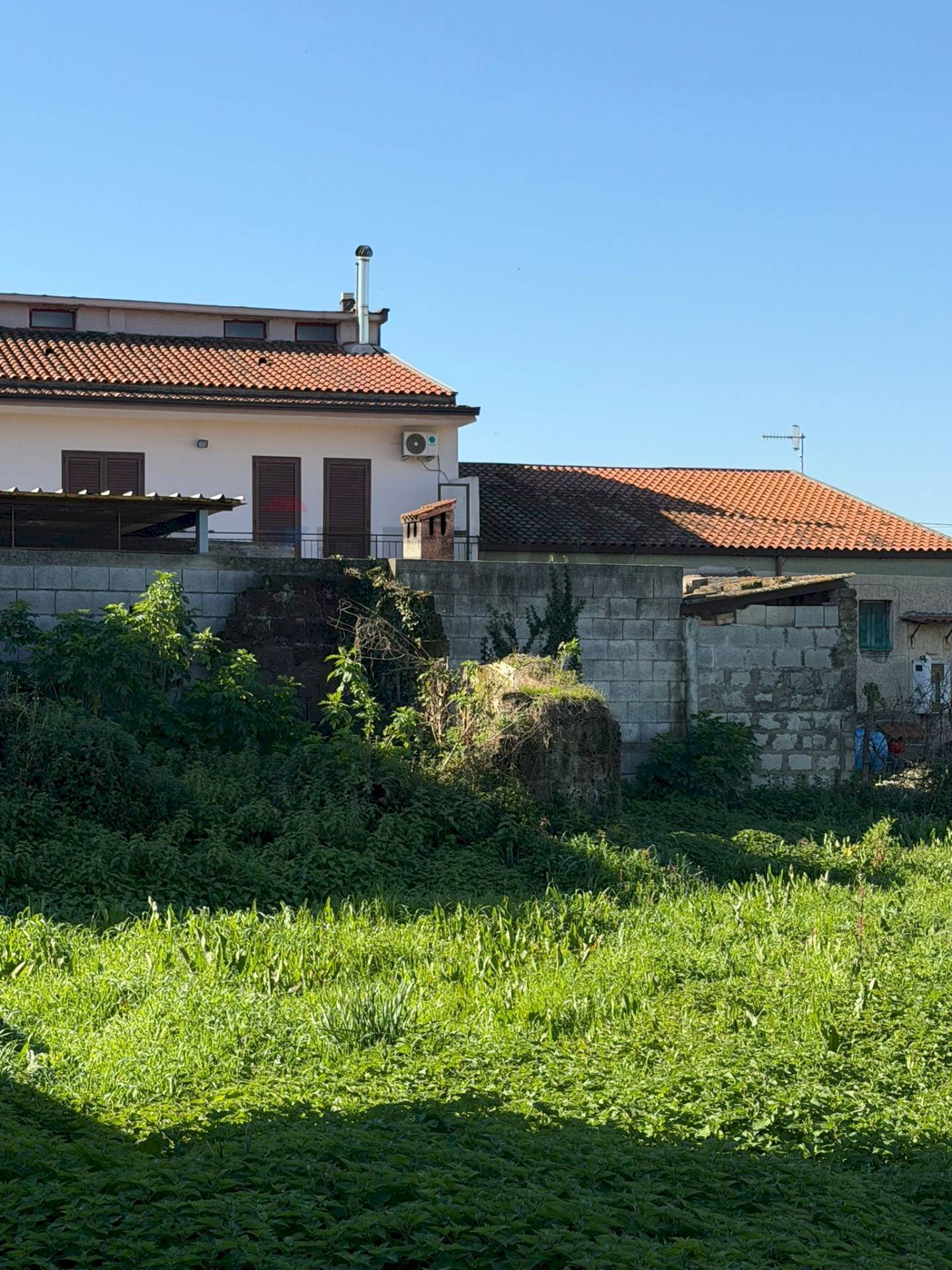 Giardino - Terreno agricolo Vicolo Girone
 
5, Francolise - foto 3