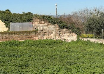 Giardino - Terreno agricolo Vicolo Girone
 
5, Francolise - foto 1