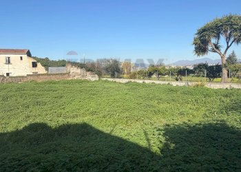 Giardino - Terreno agricolo Vicolo Girone
 
5, Francolise - foto 5