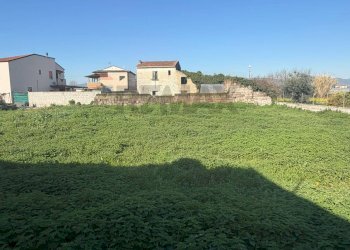 Giardino - Terreno agricolo Vicolo Girone
 
5, Francolise - foto 6