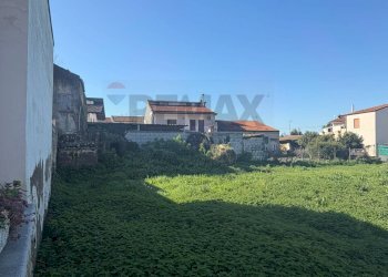 Giardino - Terreno agricolo Vicolo Girone
 
5, Francolise - foto 8