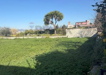 Giardino - Terreno agricolo Vicolo Girone
 
5, Francolise - foto 9