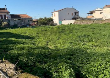 Giardino - Terreno agricolo Vicolo Girone
 
5, Francolise - foto 10