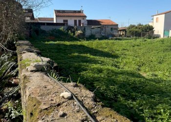 Giardino - Terreno agricolo Vicolo Girone
 
5, Francolise - foto 11