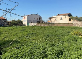 Giardino - Terreno agricolo Vicolo Girone
 
5, Francolise - foto 12