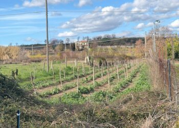 Vista delle montagne - Villa strada statale appia 7
 
Snc, Carinola - foto 7