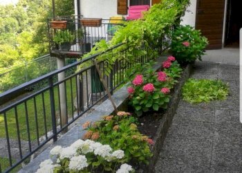 Giardino - Villa via Nazionale Snc, Arsiè - foto 6