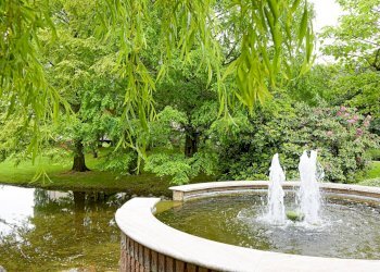 Giardino - Bilocale Via Giuseppe Garibaldi
 
13, Buccinasco - foto 17