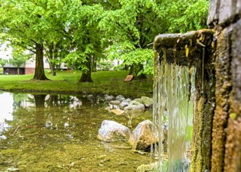 Giardino - Bilocale Via Giuseppe Garibaldi
 
13, Buccinasco - foto 20