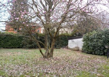 Giardino - Casa semi indipendente via roma
 
17/A, Carimate - foto 42