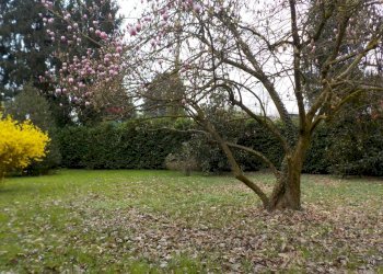 Giardino - Casa semi indipendente via roma
 
17/A, Carimate - foto 43