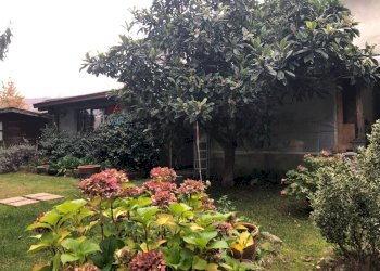 Giardino - Casa indipendente localita' marzocco di brunelli
 
48, Borgo Val di Taro - foto 8